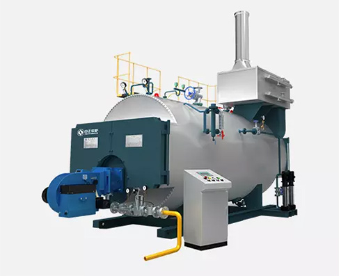 6噸家用沼氣鍋爐多少錢