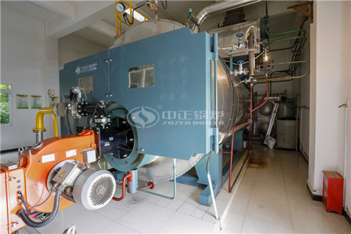 10噸沼氣燃?xì)忮仩t怎么樣