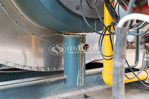 中正鍋爐工業(yè)沼氣燃?xì)忮仩t報(bào)價(jià)