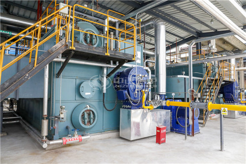 沼氣鍋爐具體排放標(biāo)準(zhǔn)是什么