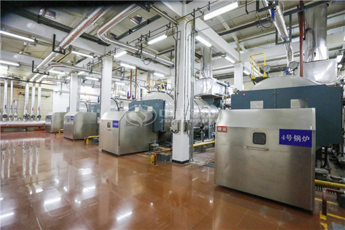 沼氣鍋爐哪個(gè)廠家的好