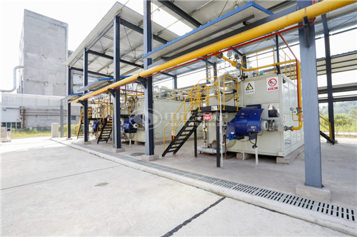 低氮鍋爐廠家哪家比較好