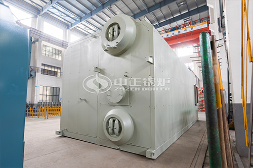 1.4MW取暖沼氣燃?xì)忮仩t多少錢