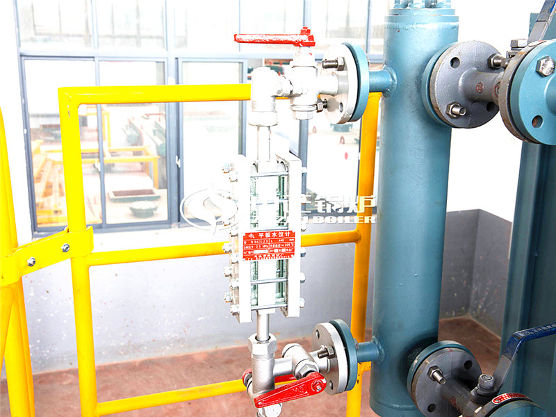 4噸沼氣熱水鍋爐價格是多少
