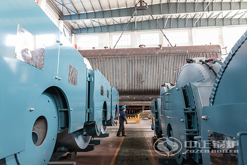 10噸沼氣燃?xì)忮仩t費(fèi)用多少