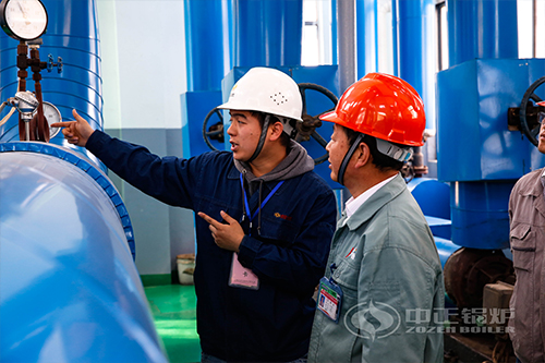 沼氣燃氣鍋爐價格哪位知道