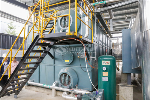 家用沼氣鍋爐多少錢一臺?