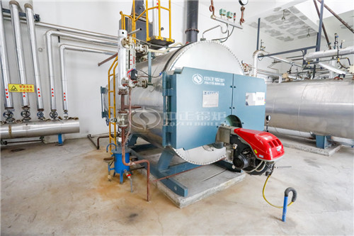 供暖沼氣鍋爐 0.5噸1噸價格多少錢