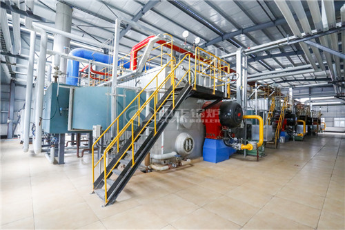 沼氣鍋爐生產廠家在哪里