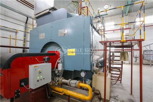 10噸沼氣燃?xì)忮仩t怎么樣